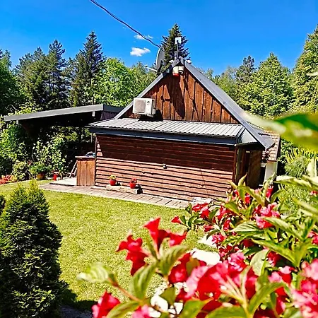 Lodge Na Górach Z Gorącą Balią