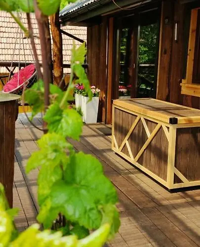 Orman Evi Na Gorach Z Goraca Balia I Sauna Nowy Sącz